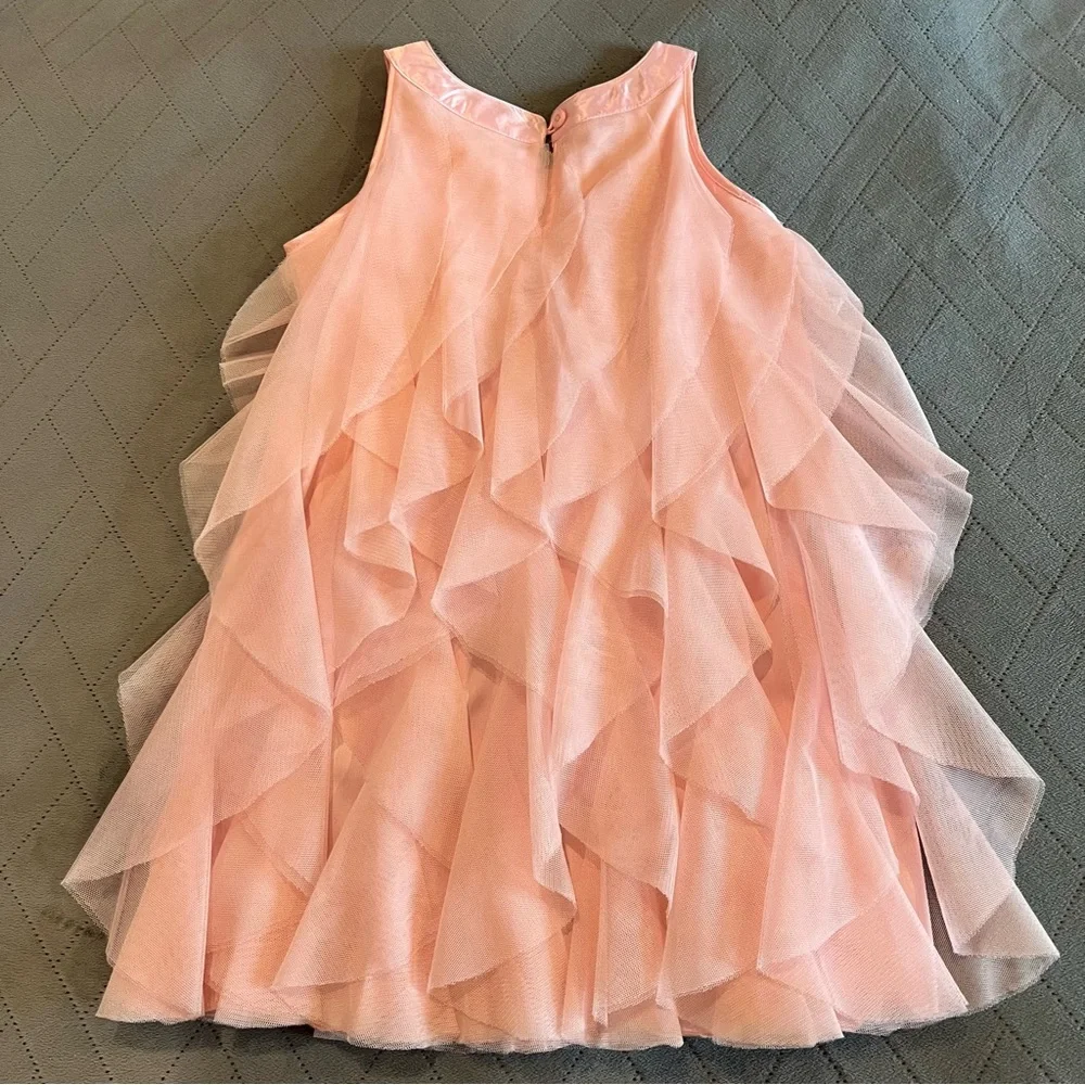 The Children’s Place Pink fancy Tulle Ruffle Dress